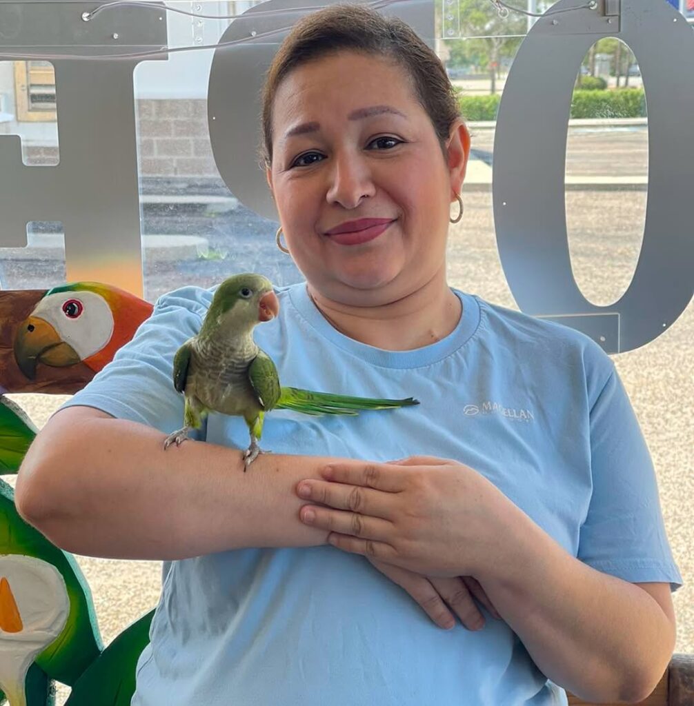 domestic exotic pets