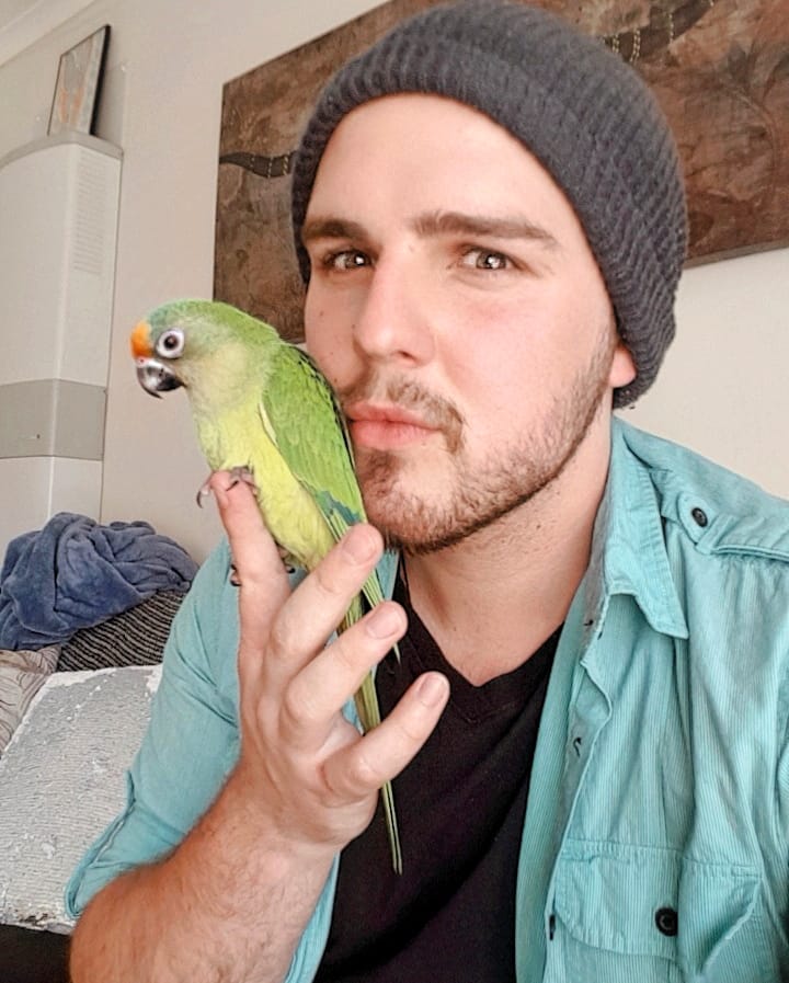 domestic exotic pets